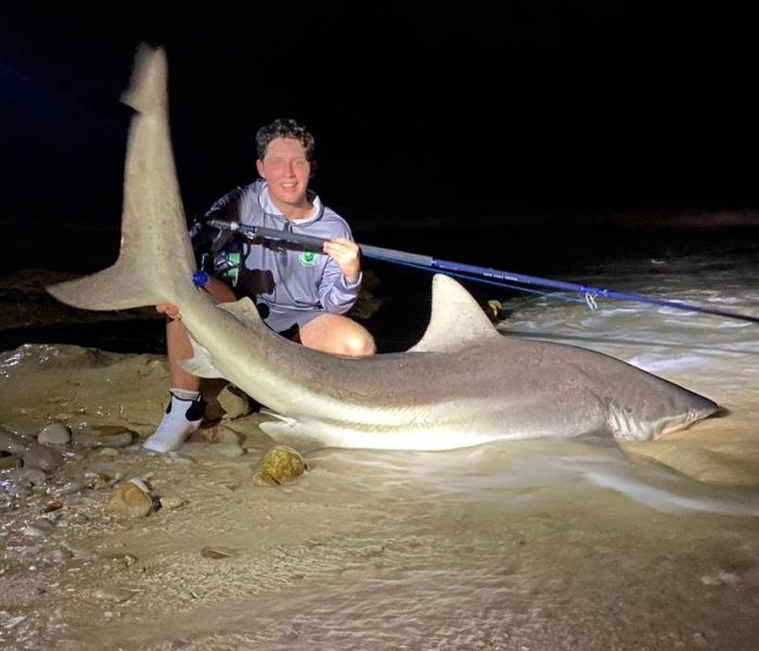 WhatsApp Image 2026-02-03 at 7.43.04 AM (1)